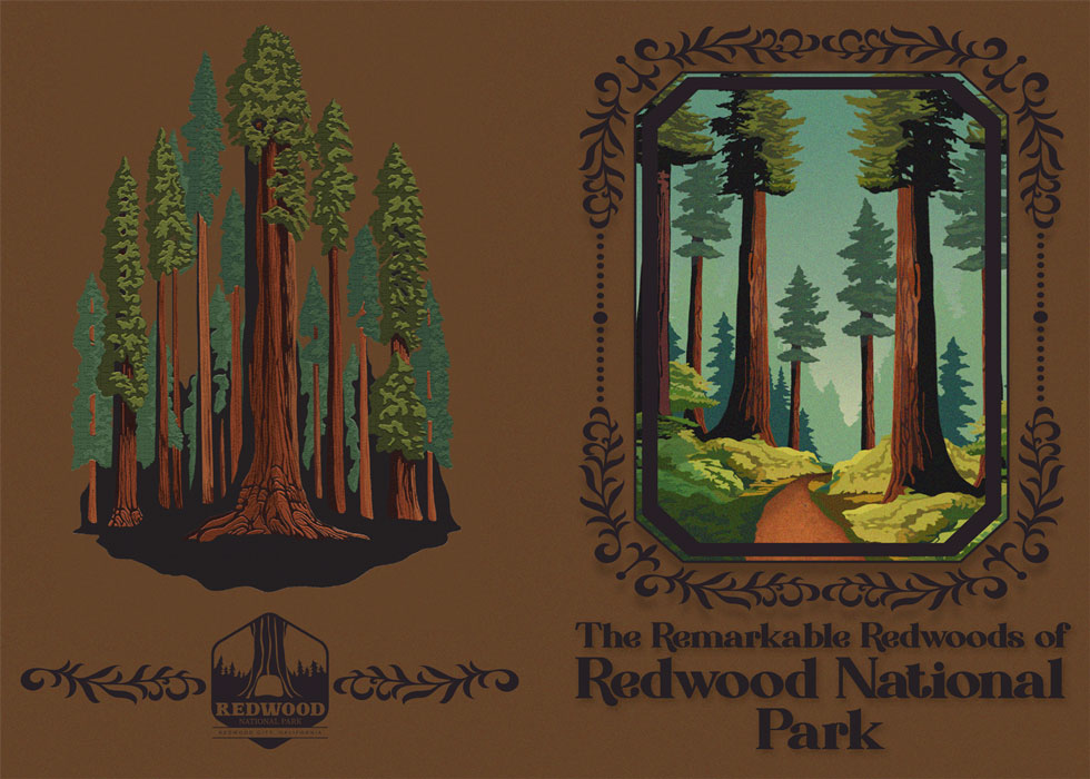 Redwood Booklet — Cover