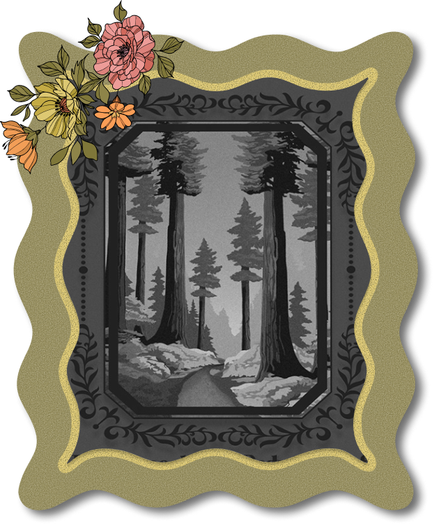 Redwood — Brochure