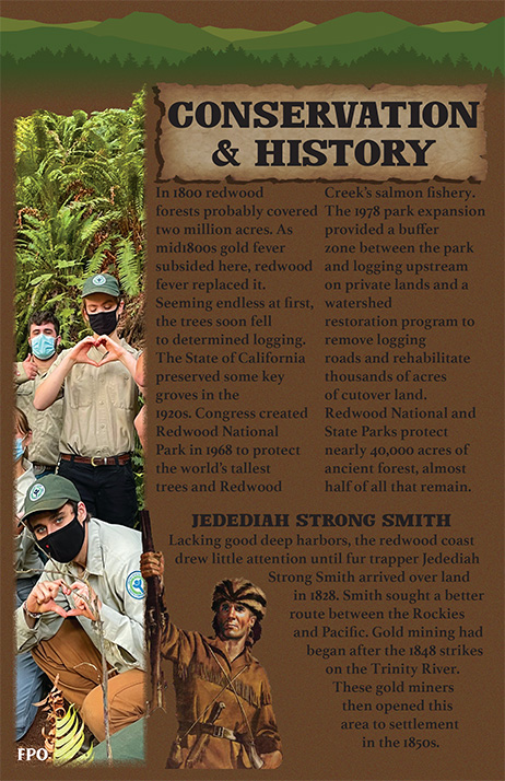 Redwood Booklet — Page 2