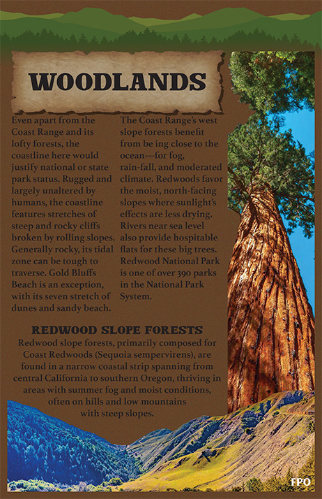 Redwood Booklet — Page 11