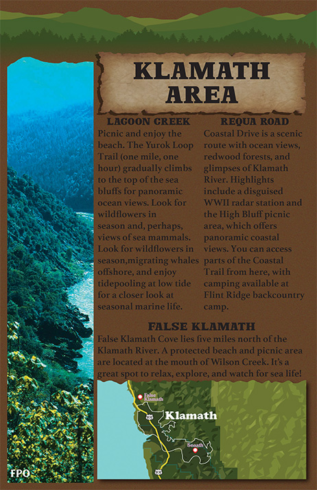 Redwood Booklet — Page 14