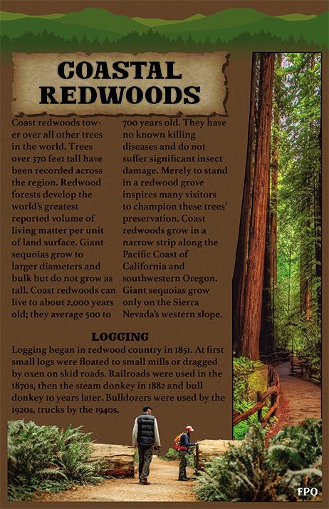 Redwood Booklet — Page 3