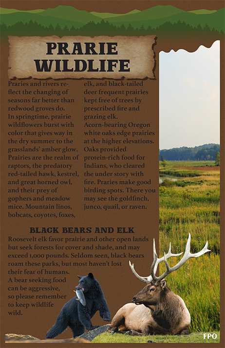 Redwood Booklet — Page 5