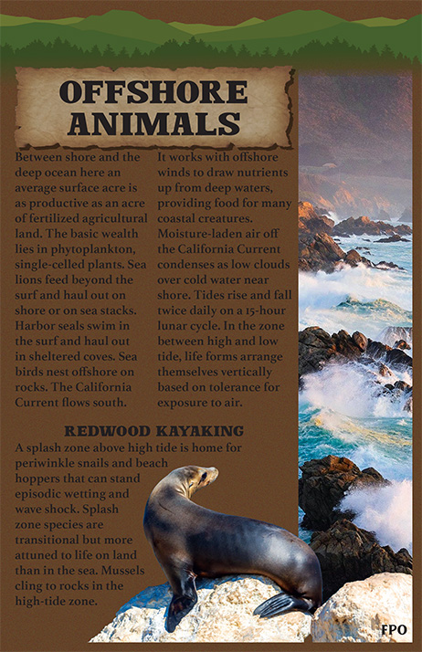 Redwood Booklet — Page 9