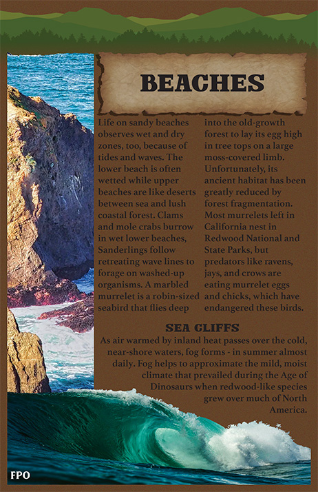 Redwood Booklet — Page 10