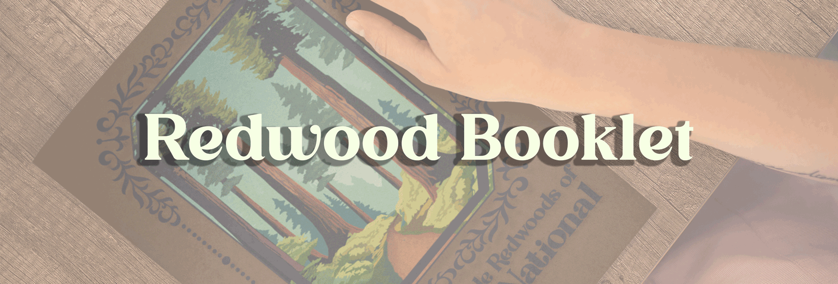 Redwood Booklet cover spread banner